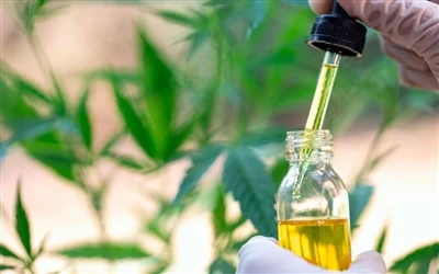 9 فوائد صحية لزيت CBD – والآثار الجانبية
